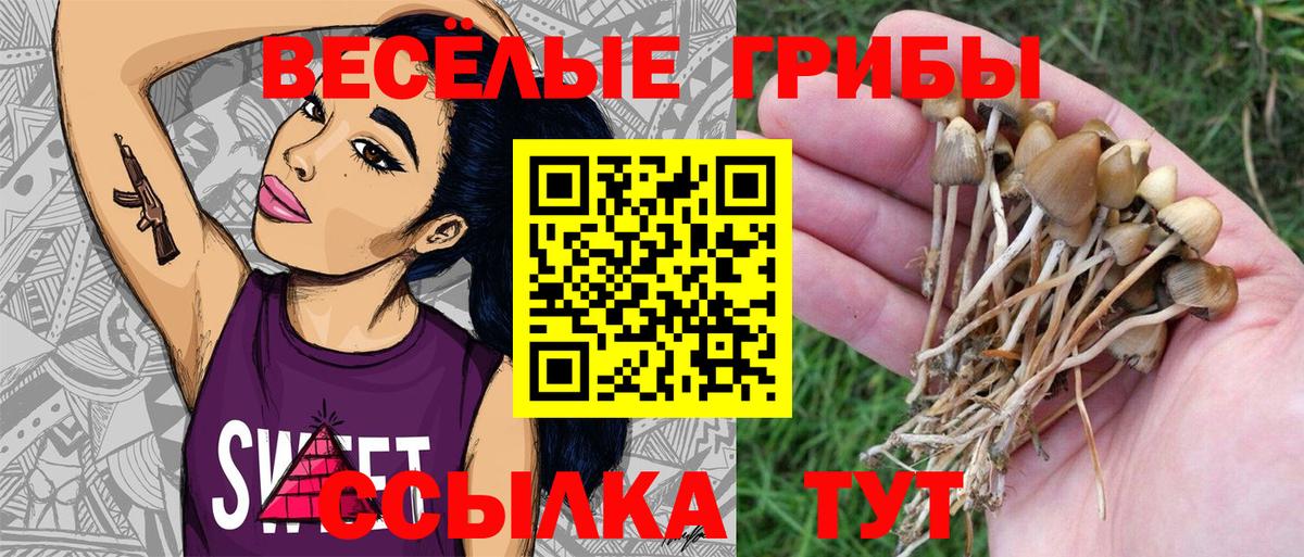 Псилоцибиновые грибы GOLDEN TEACHER  Вход с VPN  Мценск 