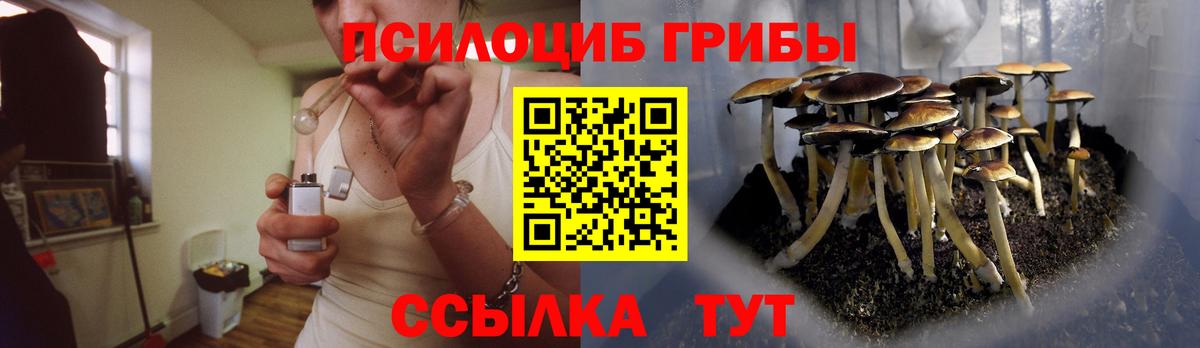 Галлюциногенные грибы Psilocybine cubensis Мценск